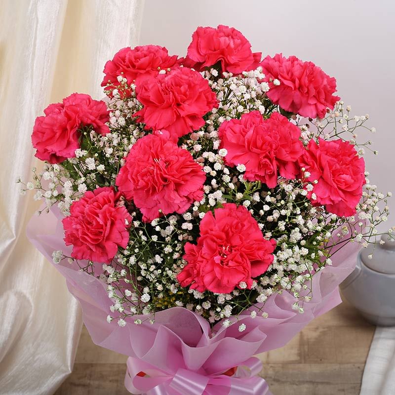 10 Pink Carnations with Top View